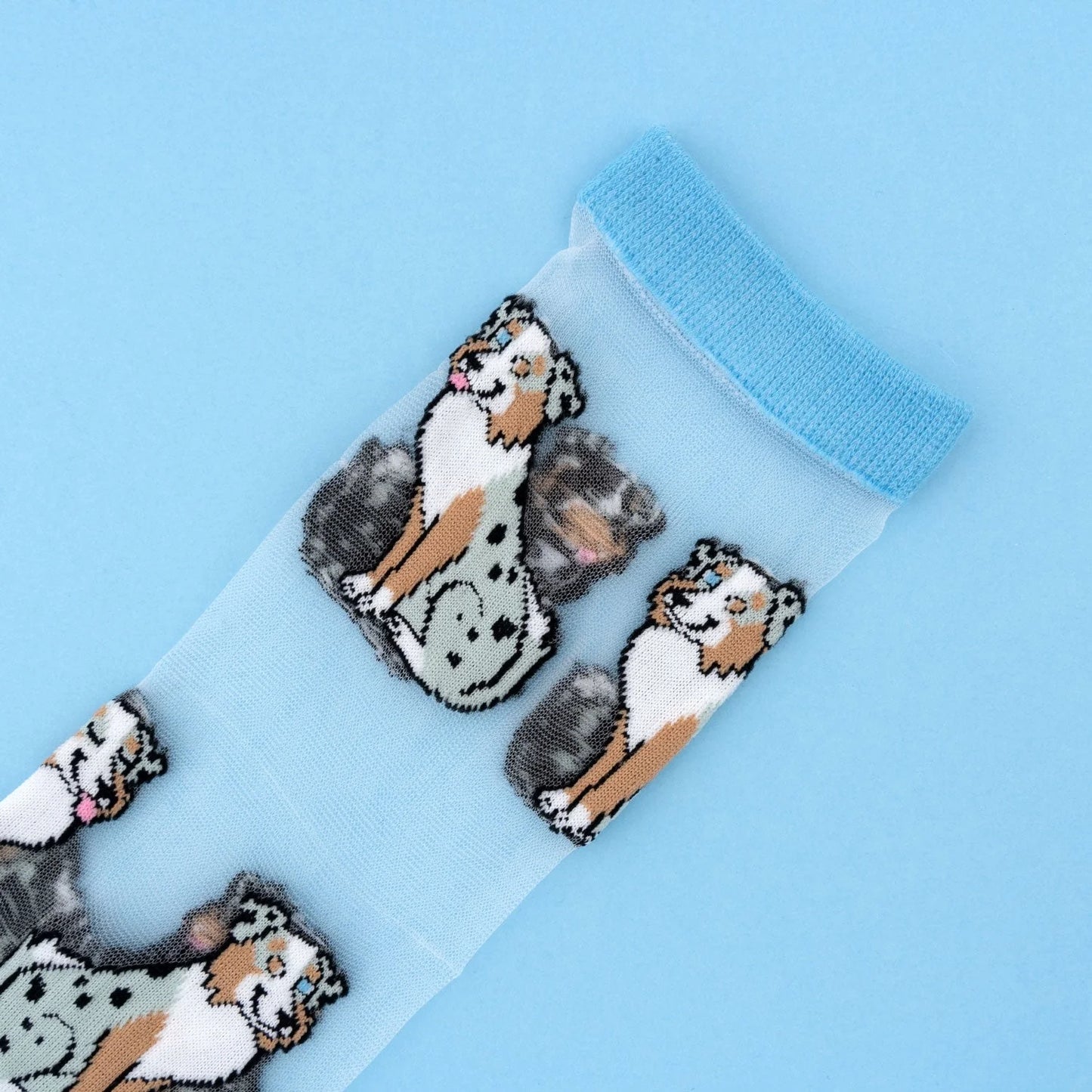 Australian Shepherd Sheer Socks | Coucou Suzette