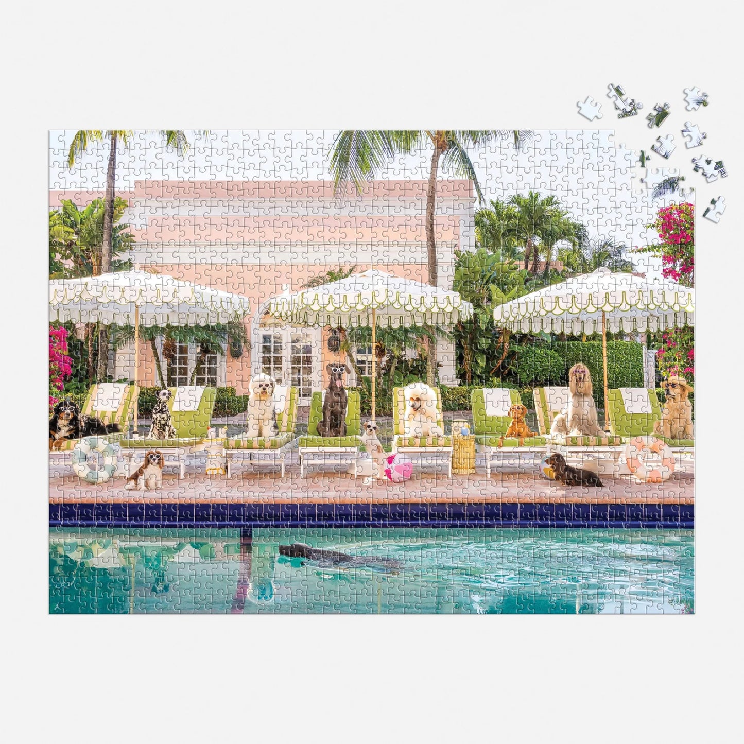 Puzzle Gray Malin Pool Day Palm Beach, 1000 pcs.