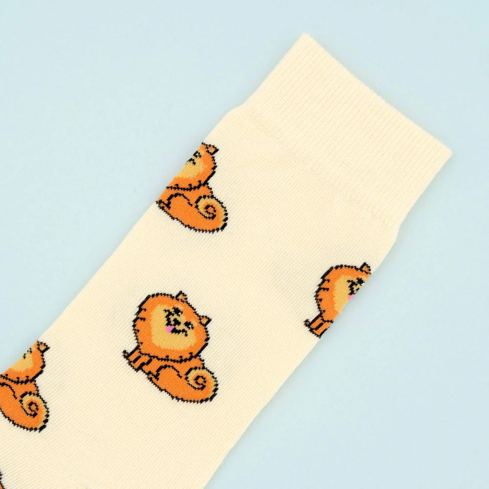 Spitz Socks | Coucou Suzette