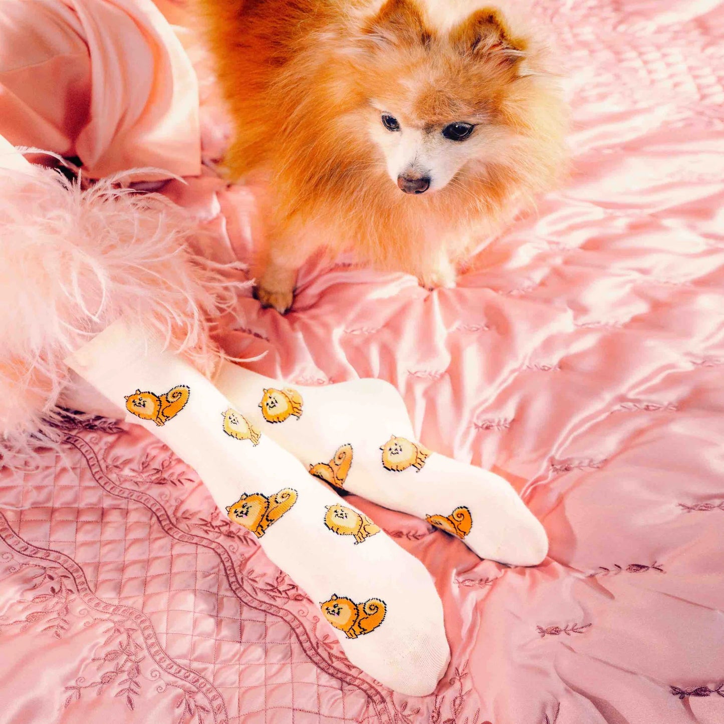 Spitz Socks | Coucou Suzette