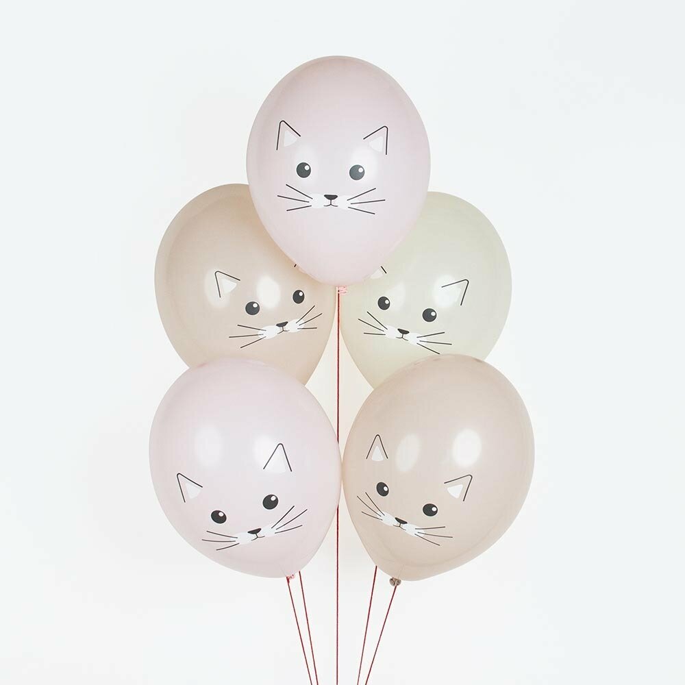Набор шариков Cat, 5 шт.