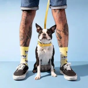 Zeķes Franču Buldogs | Coucou Suzette