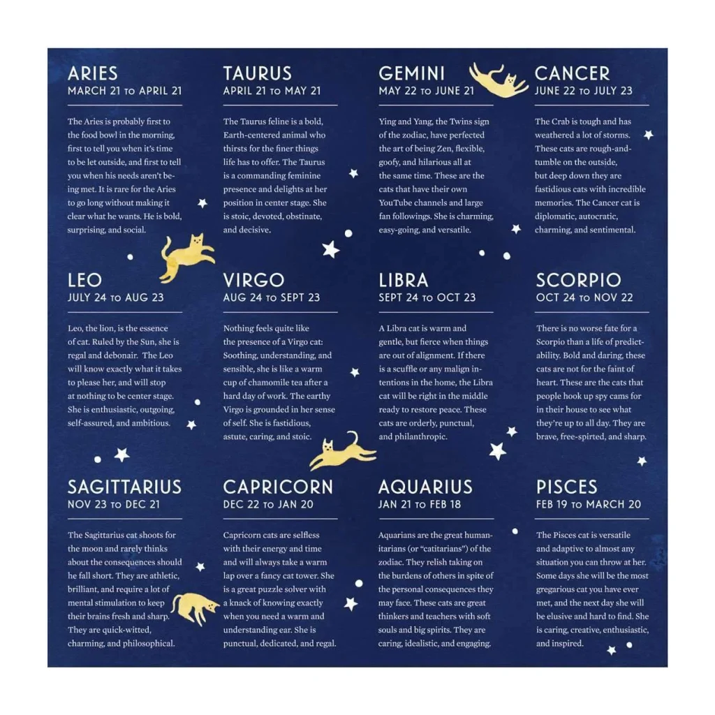 Puzle Cat Zodiac, 500 gab.