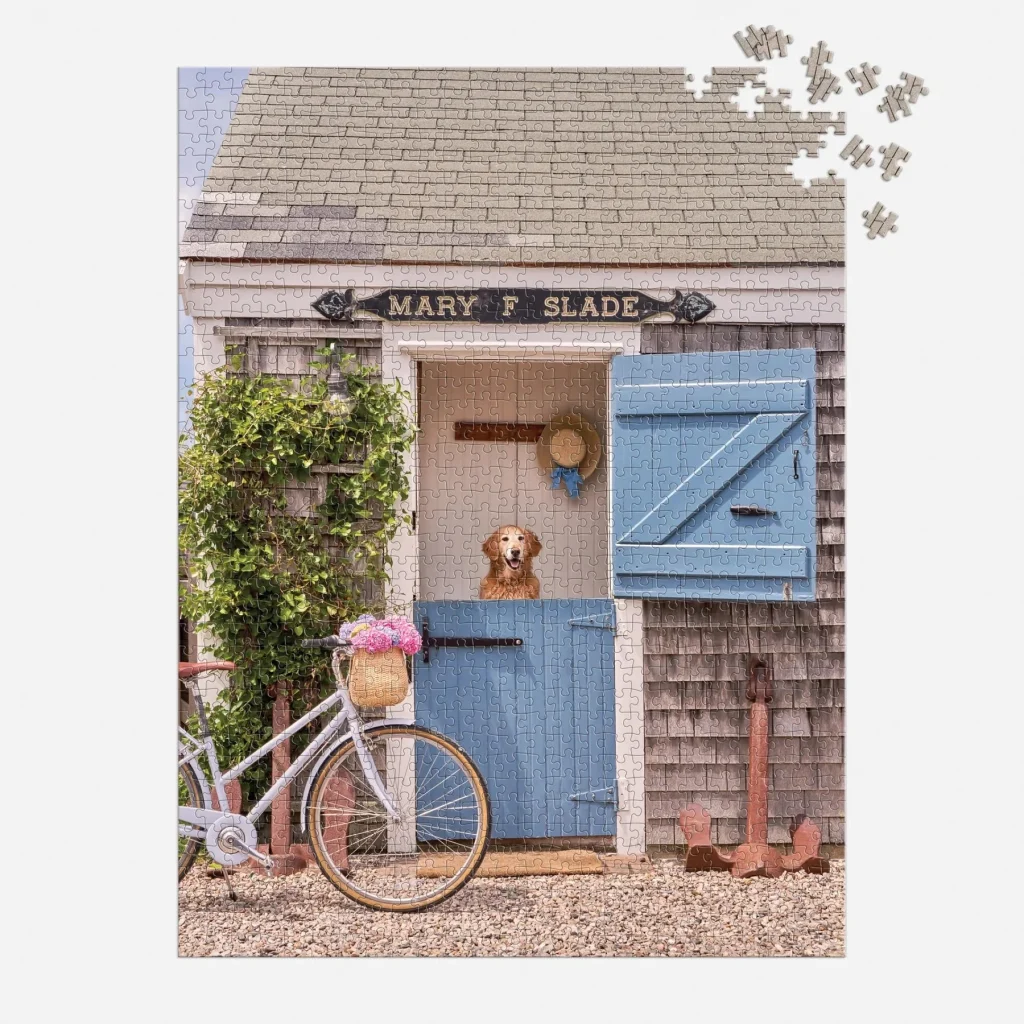 Puzle Gray Malin Nantucket, 1000 gab.