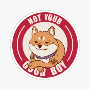 Uzlīme Not Your Good Boy