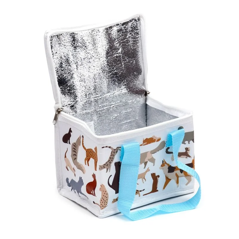 Aukstuma soma Feline Fine
