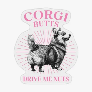 Caurspīdīga uzlīme Corgi Butts