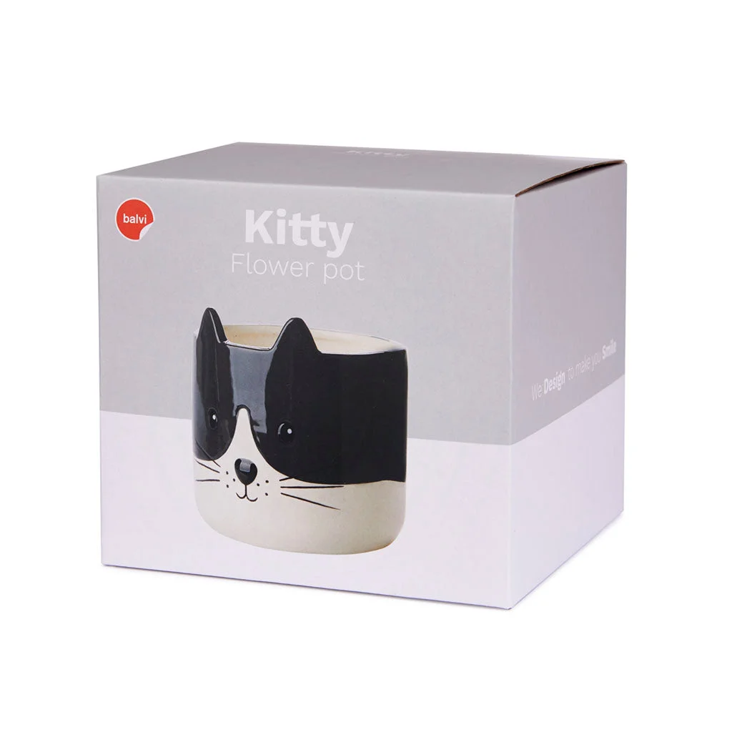 Puķu pods Kitty