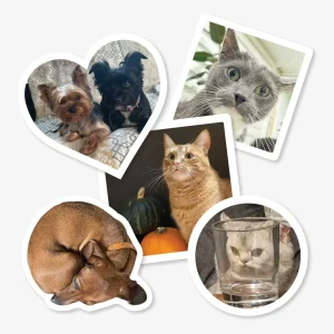 Personalizētas uzlīmes ar Tavu mīluli | Minka un Tobis