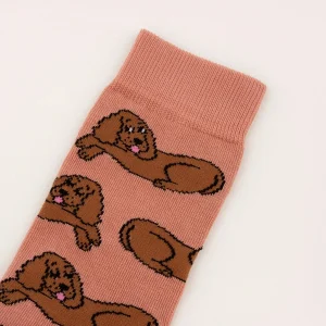 Zeķes Kokerspaniels | Coucou Suzette
