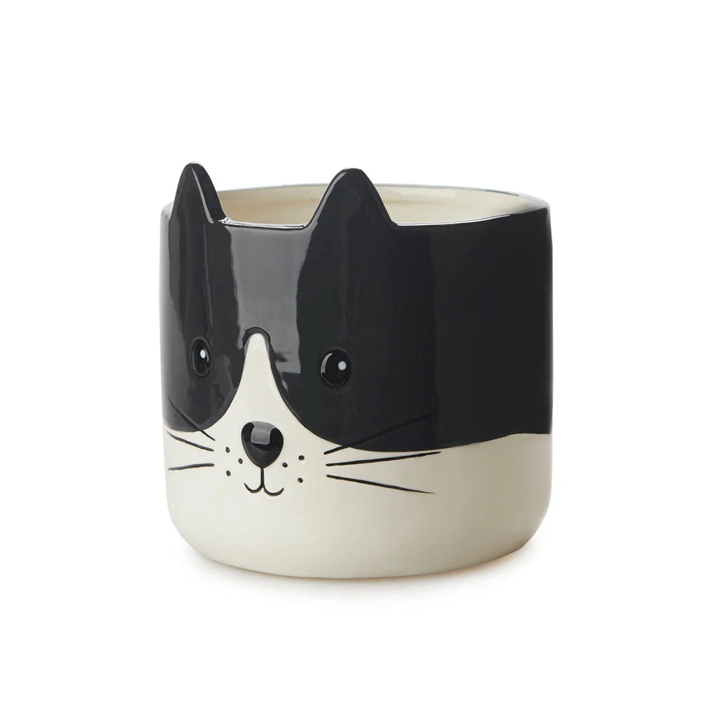 Puķu pods Kitty