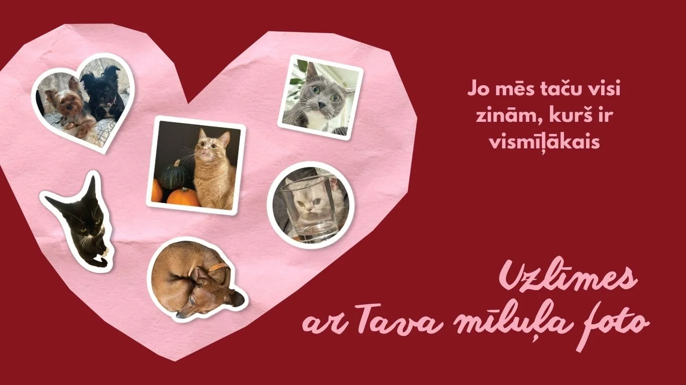 Dzīvnieku uzlīmes