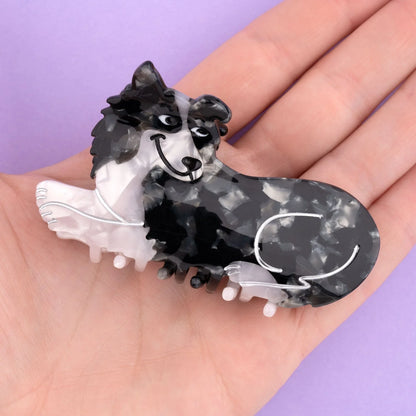 Matu sprādze krabis Borderkollijs | Coucou Suzette