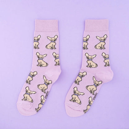 Zeķes Čihuahua | Coucou Suzette