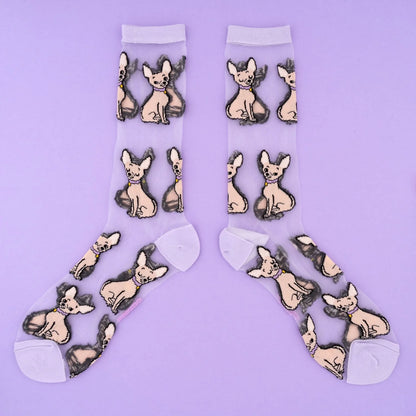 Прозрачные носки Чихуахуа | Coucou Suzette