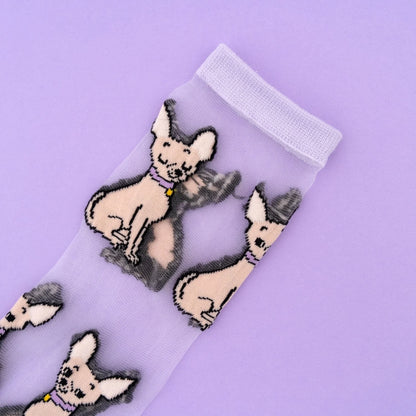 Прозрачные носки Чихуахуа | Coucou Suzette