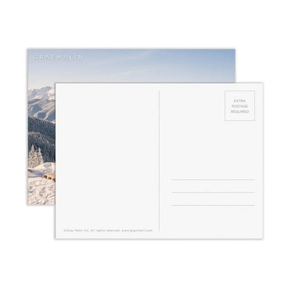 Divpusēja puzle Gray Malin The Winter Holiday, 500 gab.